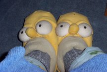 Homer Slippers
